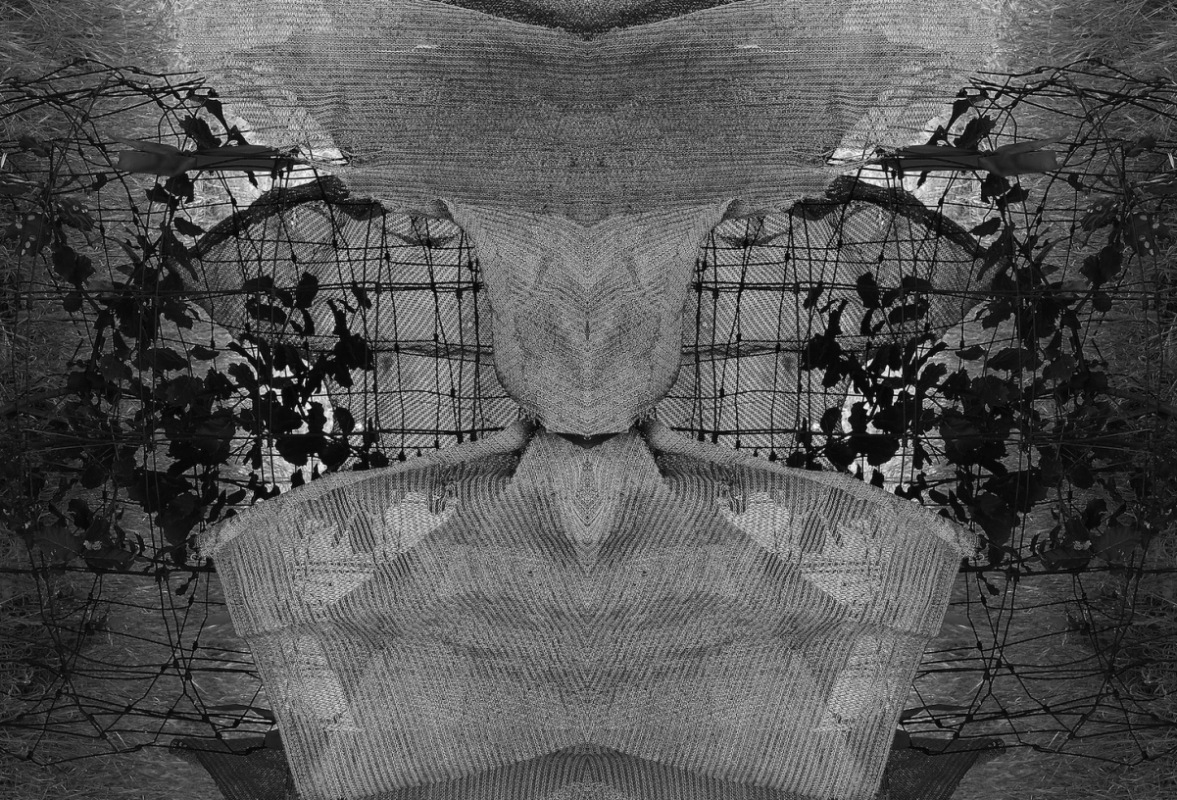Flayed Ambition