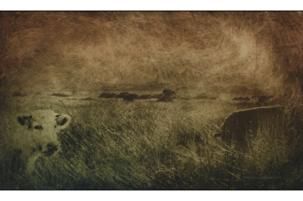 She Came Upon her Silence and the Wind