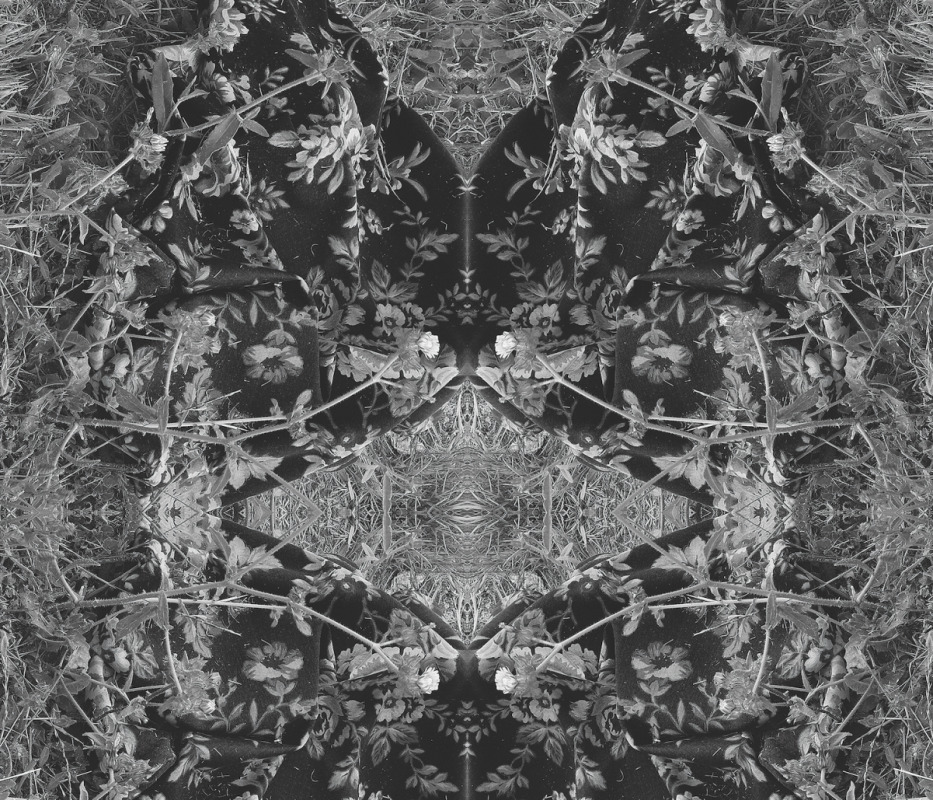 Baroque Wings