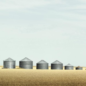 Grain Bins 1 by 